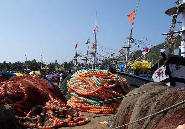 Legal Support for Professional Fisheries