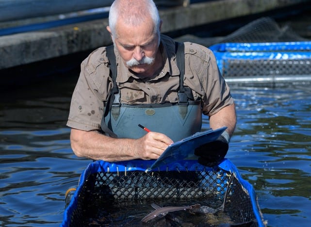 Starting an Aquaculture Business: Know the Rules