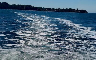 Building a Resilient Seafood Export Business
