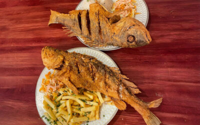 NAMR and Its Role in Australian Aquaculture