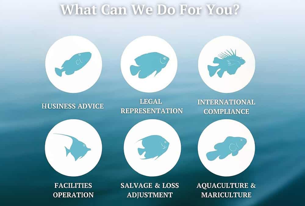 Navigating Seafood Contracts What Every Female Business Leader Should Know