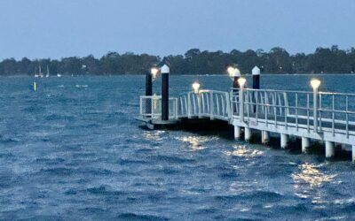 How Carbon Credits Work in Aquaculture