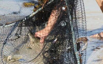 Indigenous Commercial Fishing Rights in Australia: Challenges and the Way Forward