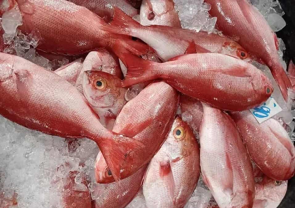 Logistics of Exporting Catch to China – The Legal Implications