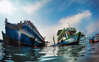 Recreational Fishing in Australia: Warmer Weather, Legal Requirements, and What to Do if Stopped by a Fisheries Officer