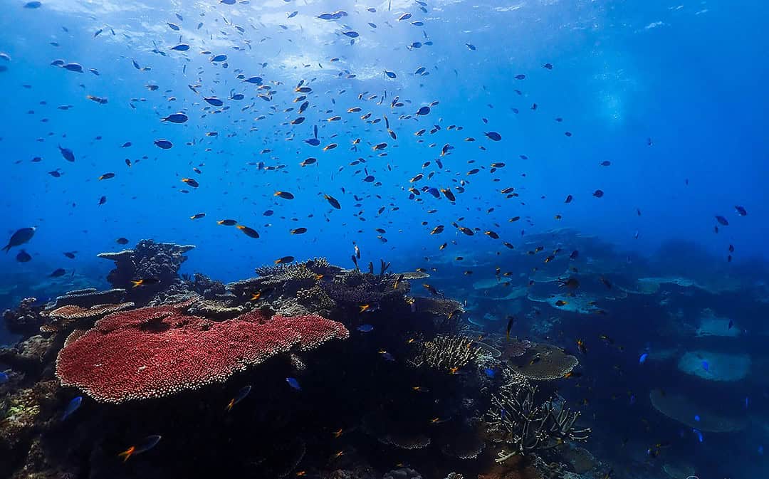 Rights to the Sea: Legal Battles Over Access and Food Security