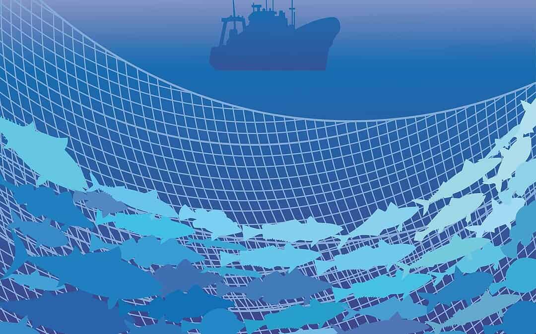 Sustainable by Law: Legal Tools for Climate Resilience in Seafood
