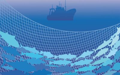 Sustainable by Law: Legal Tools for Climate Resilience in Seafood