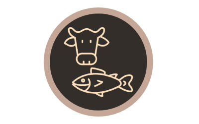 Organisation and Lobbying: Why the Australian commercial fishing industry lags behind the cattle industry – what to do about It!