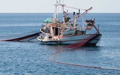 Aquaculture Biosecurity: Legal Frameworks for Disease Outbreak and Containment