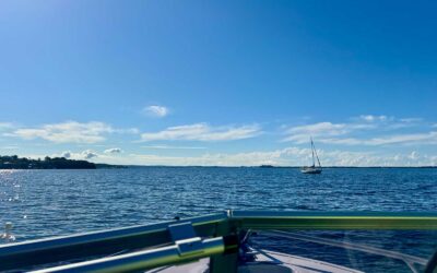 Marine Spatial Planning and Fisheries Access: Legal Trends in Australian Coastal Zones