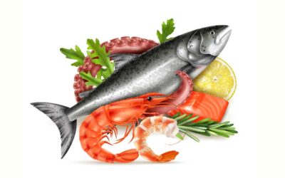 Sea-Food Fraud and Traceability: Legal Risks in Global Supply Chains