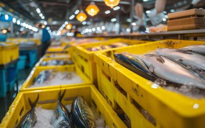Smart Packaging and Sustainability: legal challenges for seafood exporters