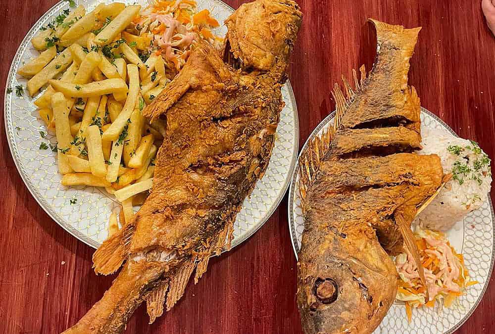 The Value of the Australian Seafood Industry to the Economy