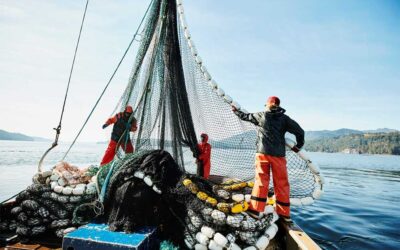 Navigating the Legal Relationship Between Aquaculture Farmers and Fish-Feed Suppliers