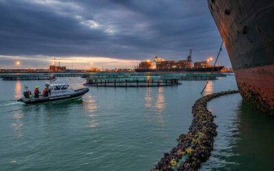 Biosecurity Law after the Spread of Invasive Marine Species