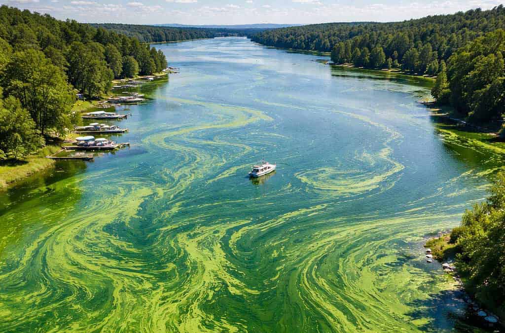 ALGAE BLOOMS & EMERGENCY FISHERIES CLOSURES: LEGAL RISK AND BUSINESS CONTINUITY STRATEGIES