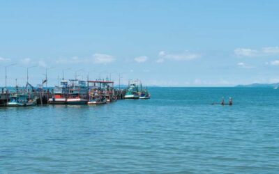 Climate Risk Disclosure and Corporate Compliance in Seafood Supply Chains