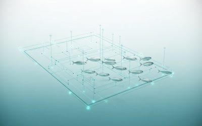 Aquaculture Legal Compliance: The Complete Australian Guide for 2026