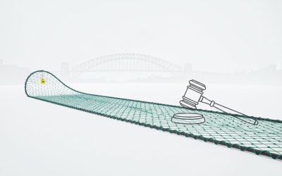 Illegal Fishing Gear Fines in Australia: A Guide to Penalties and Compliance