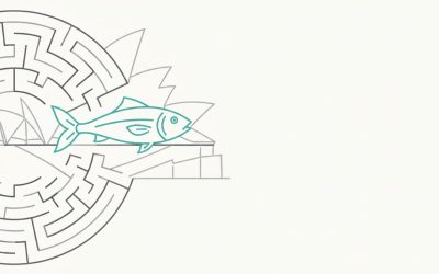 NSW Fisheries Regulation Changes 2026: Legal Guide